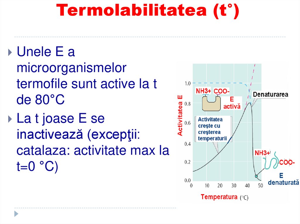 Termolabilitatea (t°)