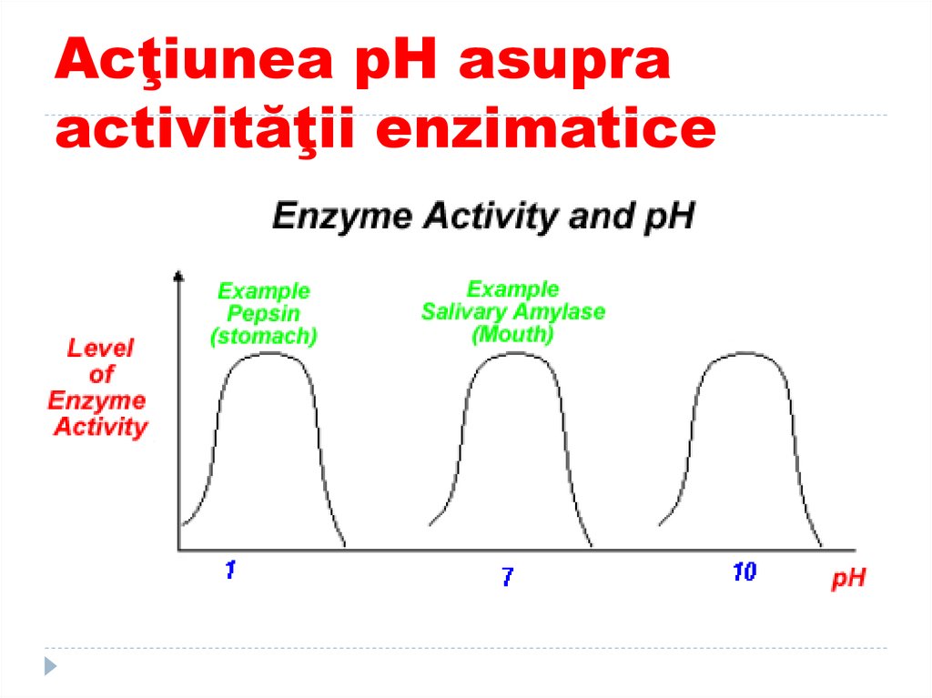 Acţiunea pH asupra activităţii enzimatice