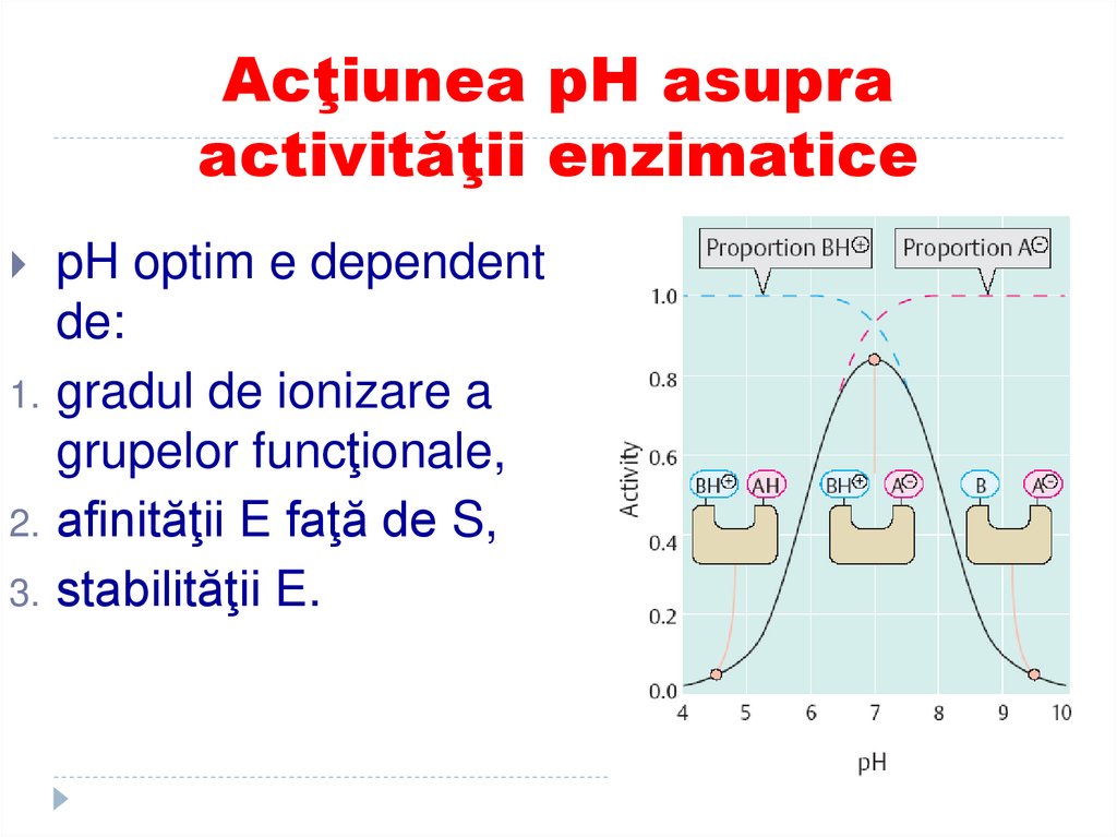 Acţiunea pH asupra activităţii enzimatice
