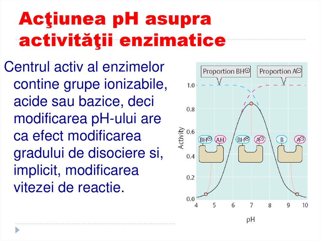 Acţiunea pH asupra activităţii enzimatice