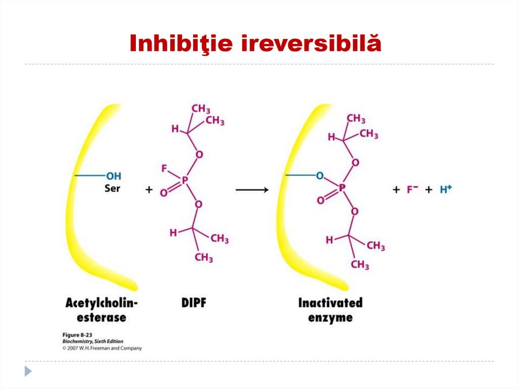 Inhibiţie ireversibilă