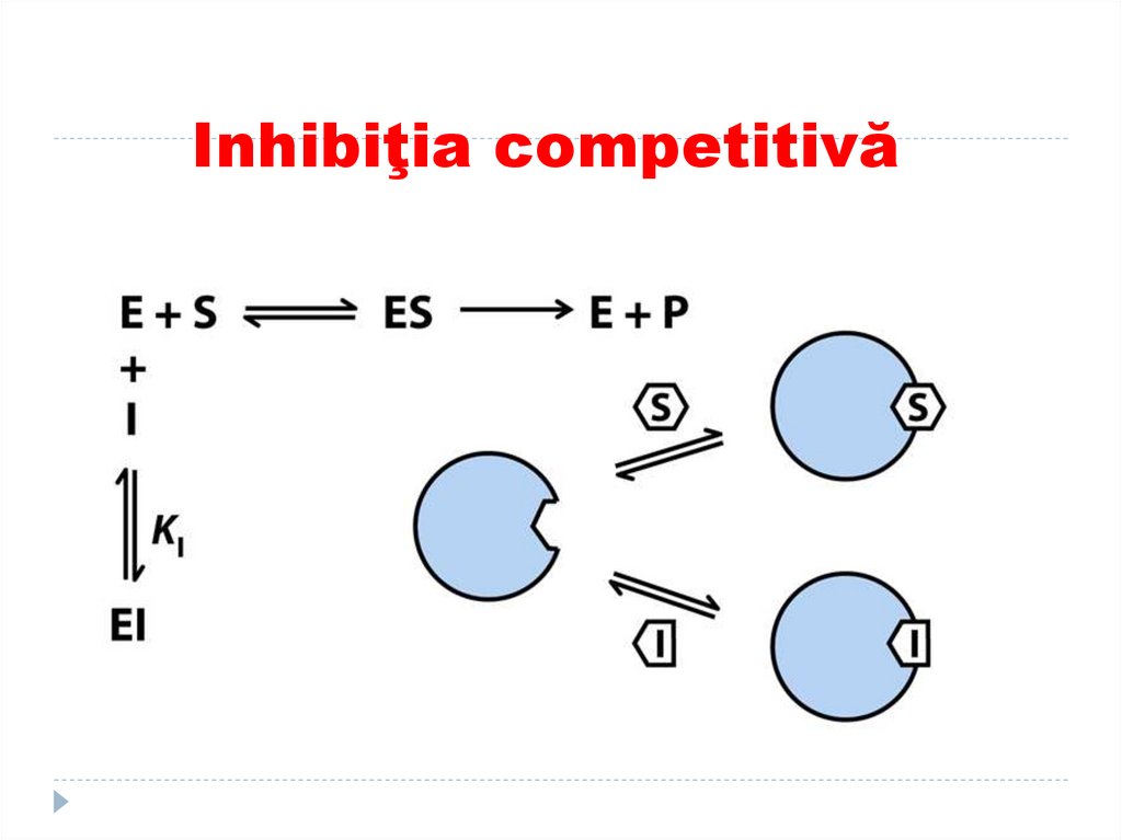 Inhibiţia competitivă