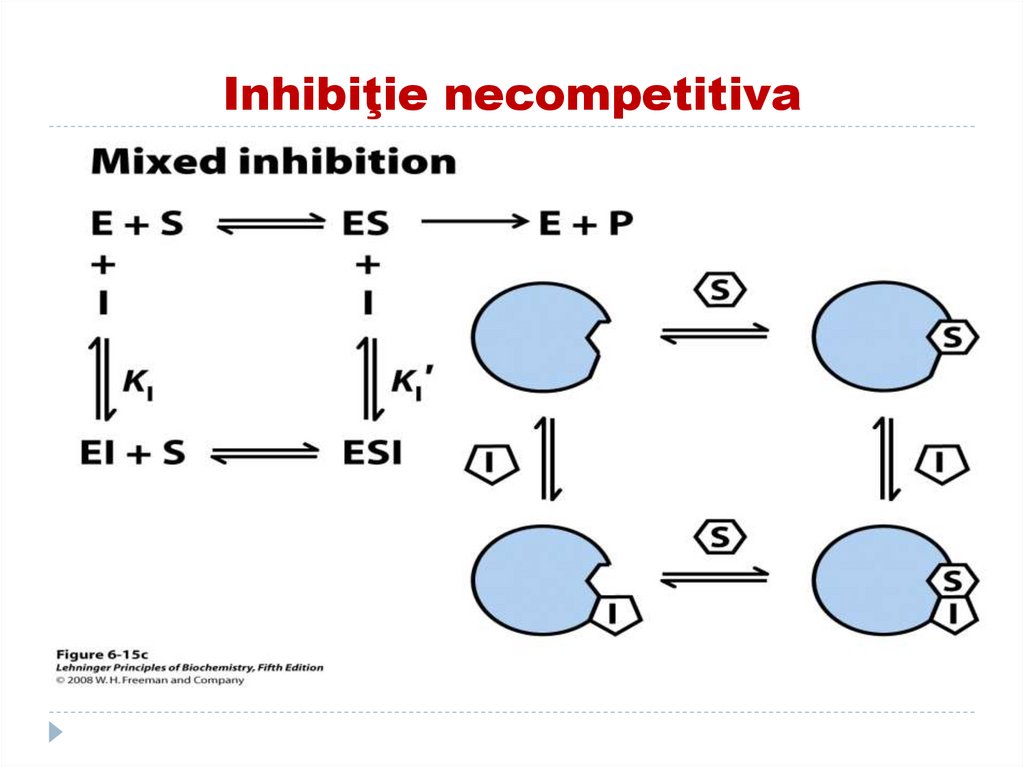 Inhibiţie necompetitiva