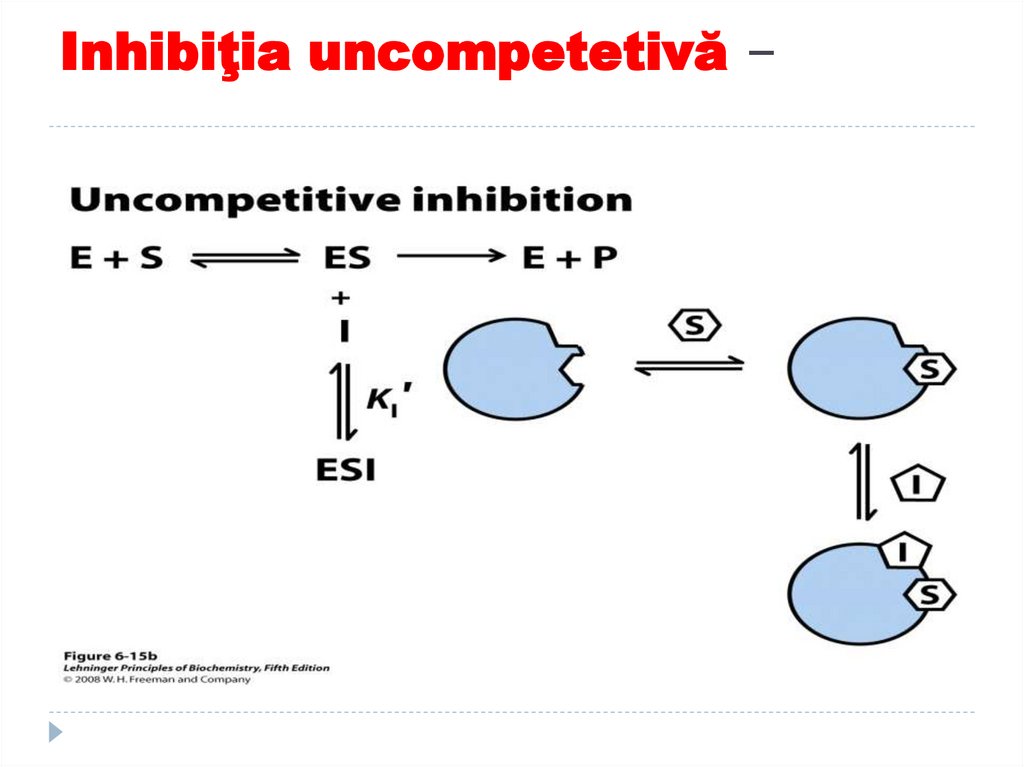 Inhibiţia uncompetetivă –