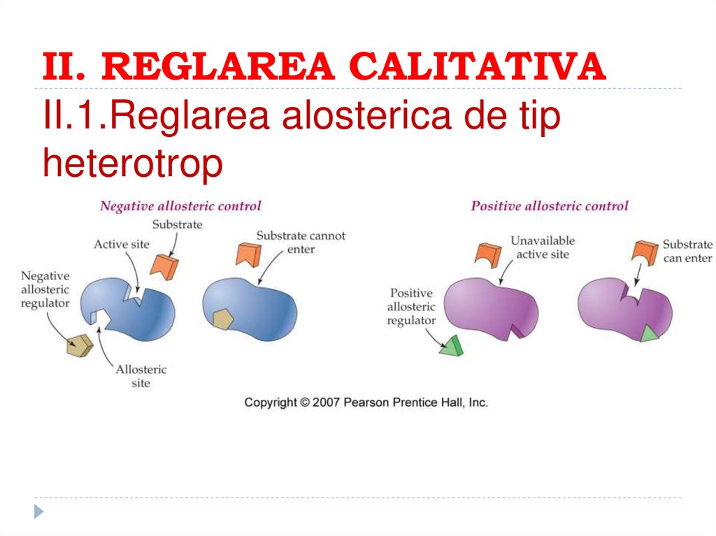 II. REGLAREA CALITATIVA II.1.Reglarea alosterica de tip heterotrop