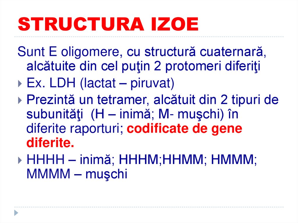 STRUCTURA IZOE