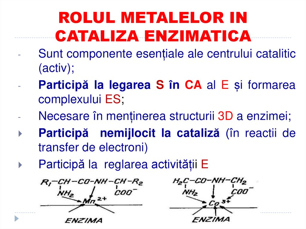 ROLUL METALELOR IN CATALIZA ENZIMATICA