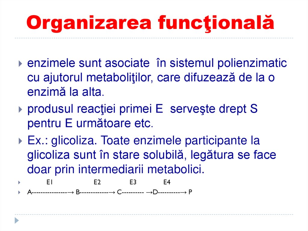 Organizarea funcţională