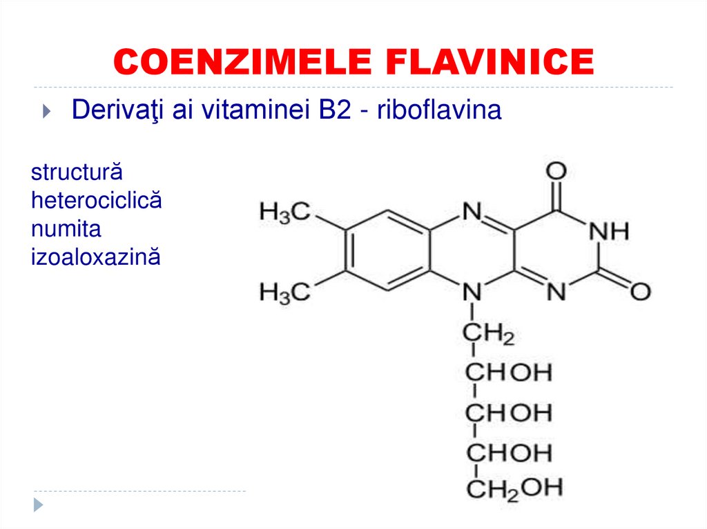 COENZIMELE FLAVINICE