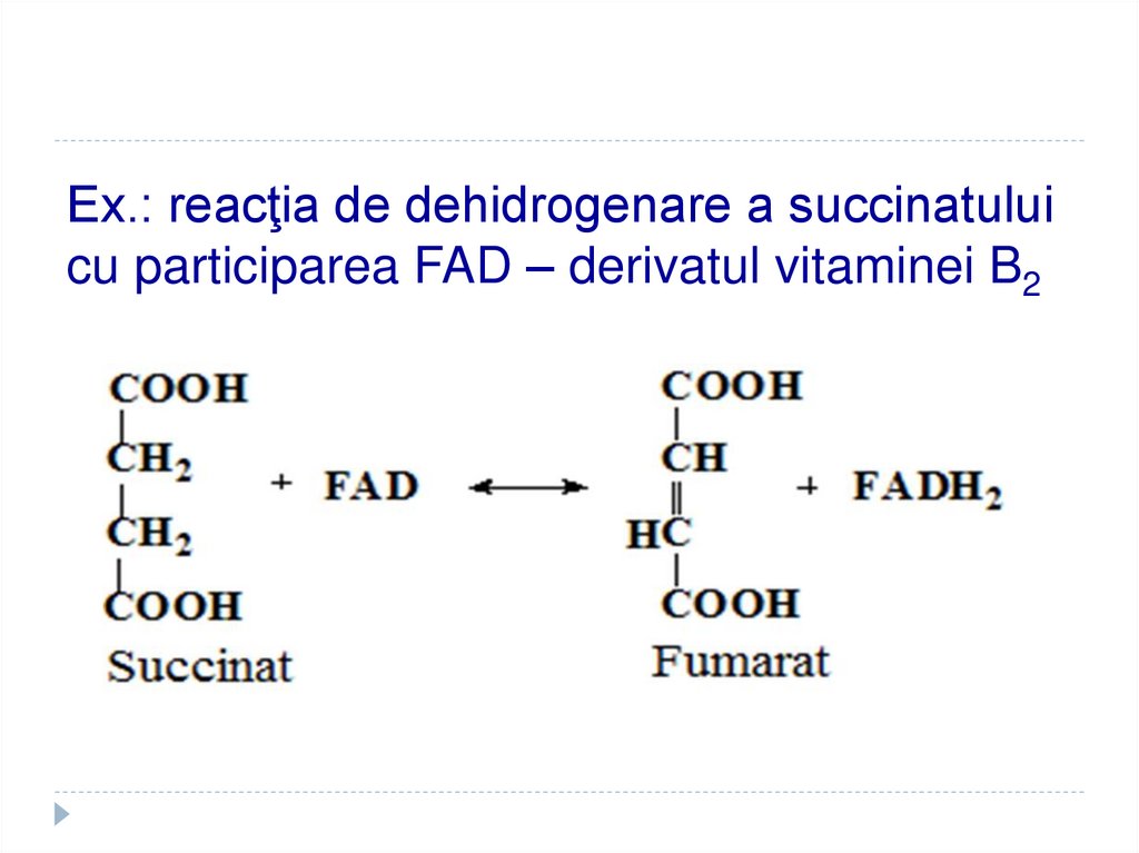 Ex.: reacţia de dehidrogenare a succinatului cu participarea FAD – derivatul vitaminei B2