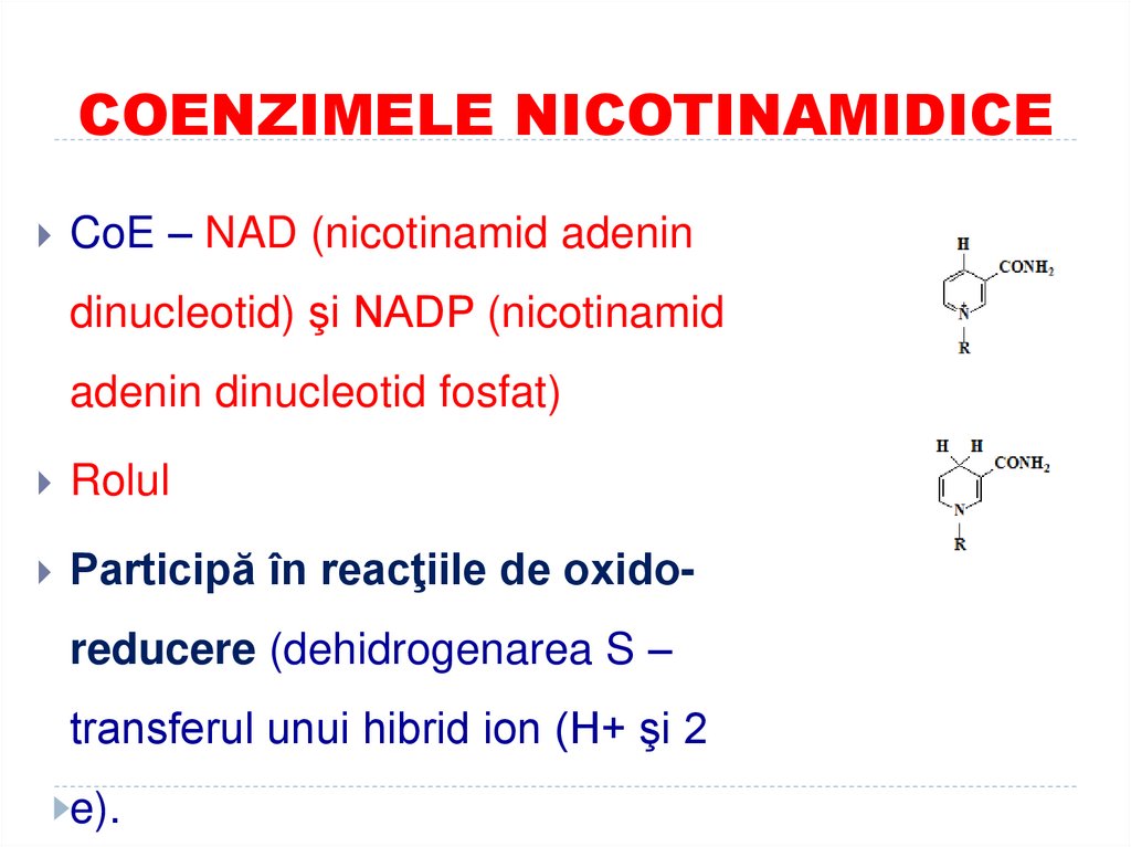 COENZIMELE NICOTINAMIDICE