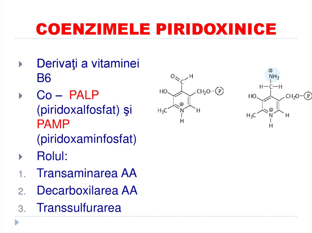 COENZIMELE PIRIDOXINICE