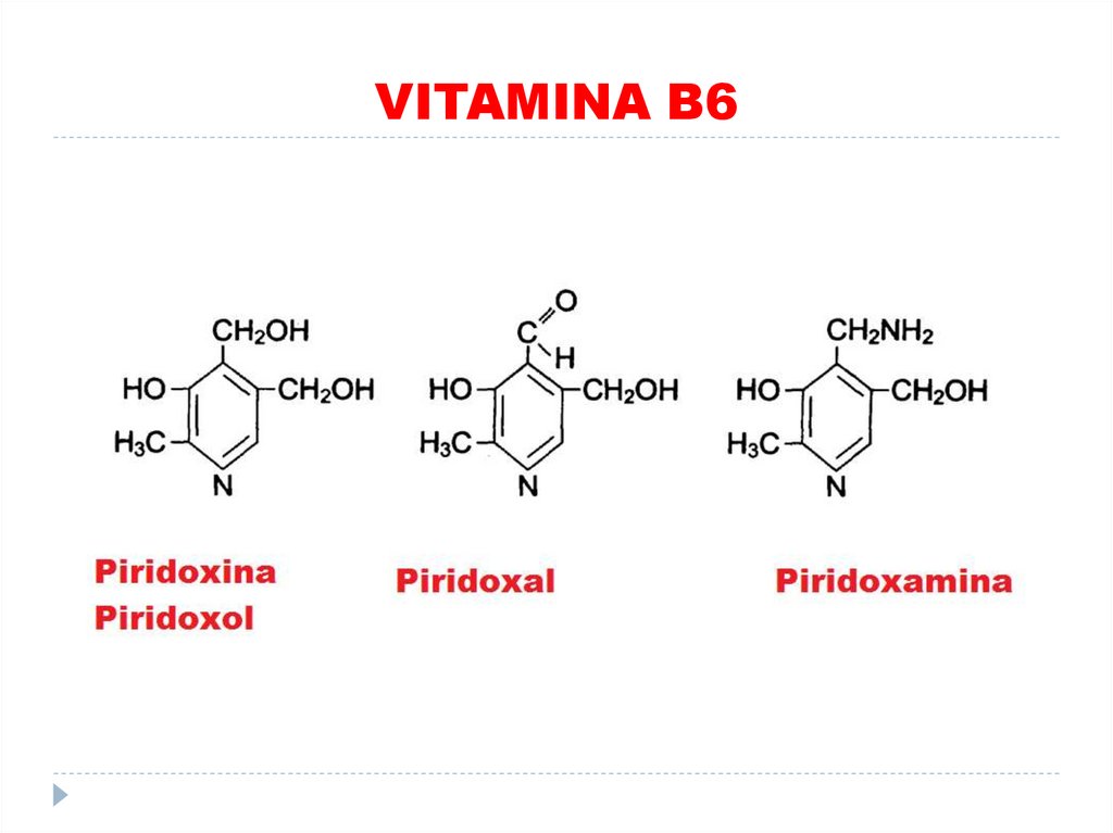 VITAMINA B6