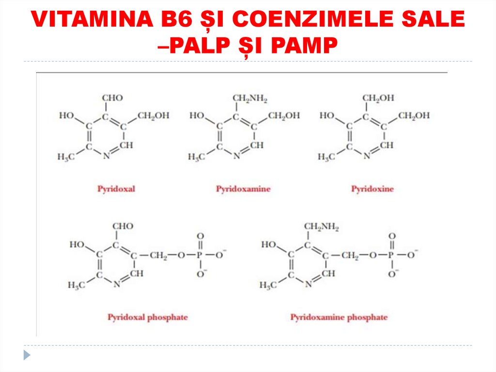 VITAMINA B6 ȘI COENZIMELE SALE –PALP ȘI PAMP