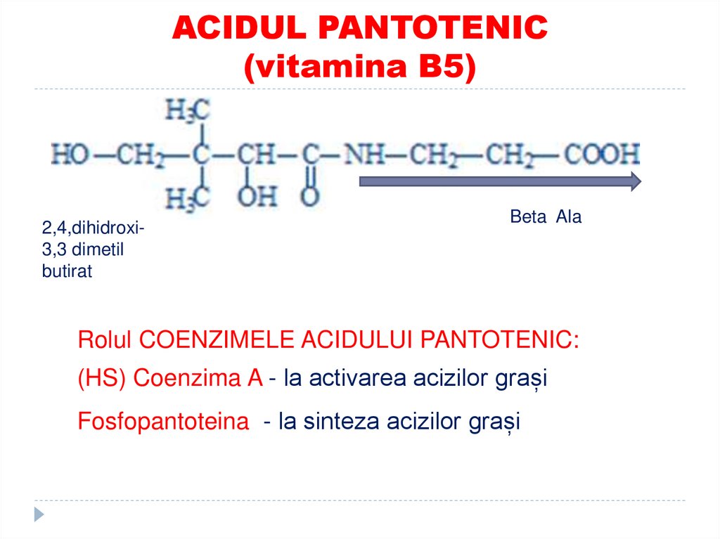 ACIDUL PANTOTENIC (vitamina B5)