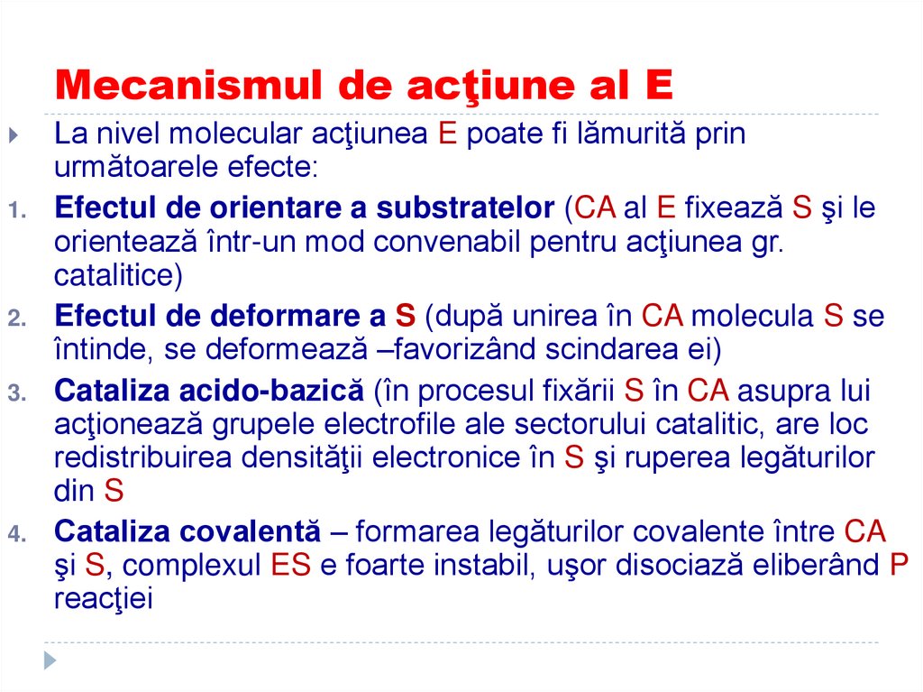 Mecanismul de acţiune al E