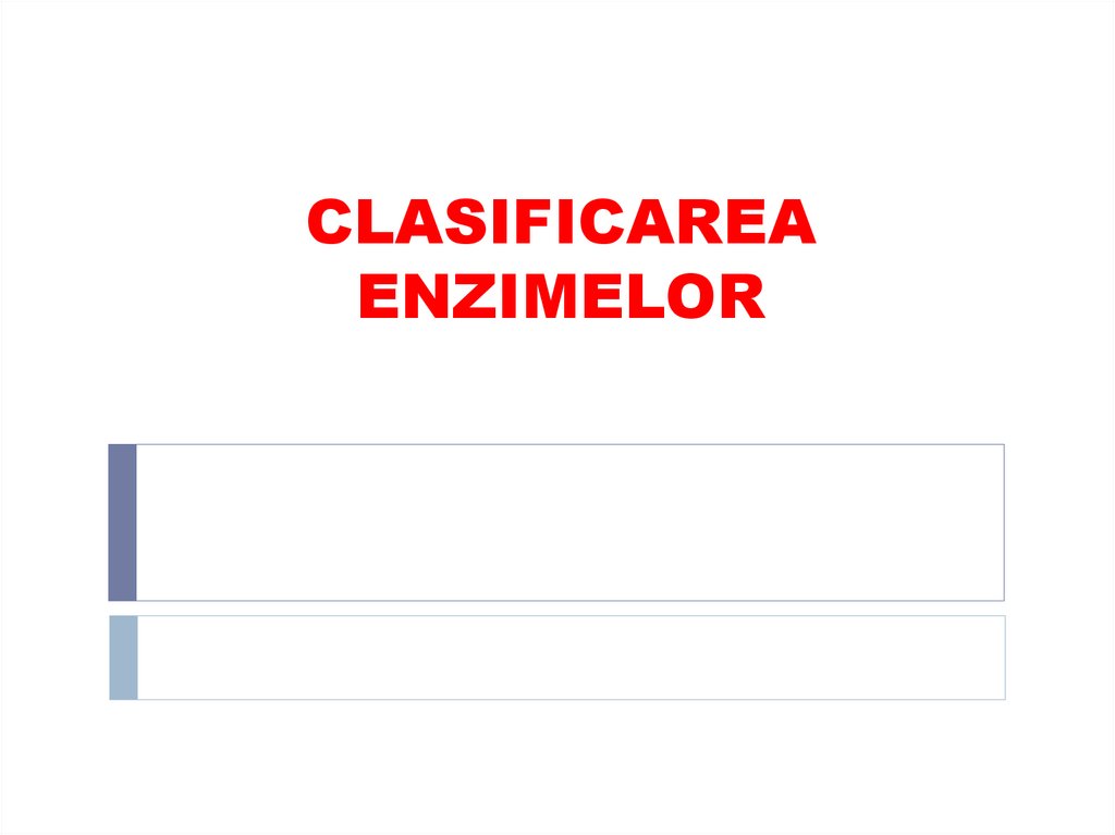 CLASIFICAREA ENZIMELOR