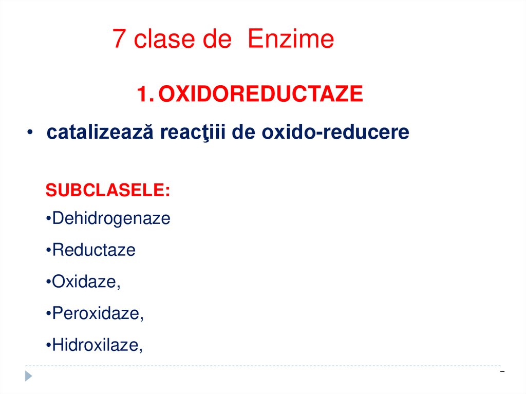 7 clase de Enzime