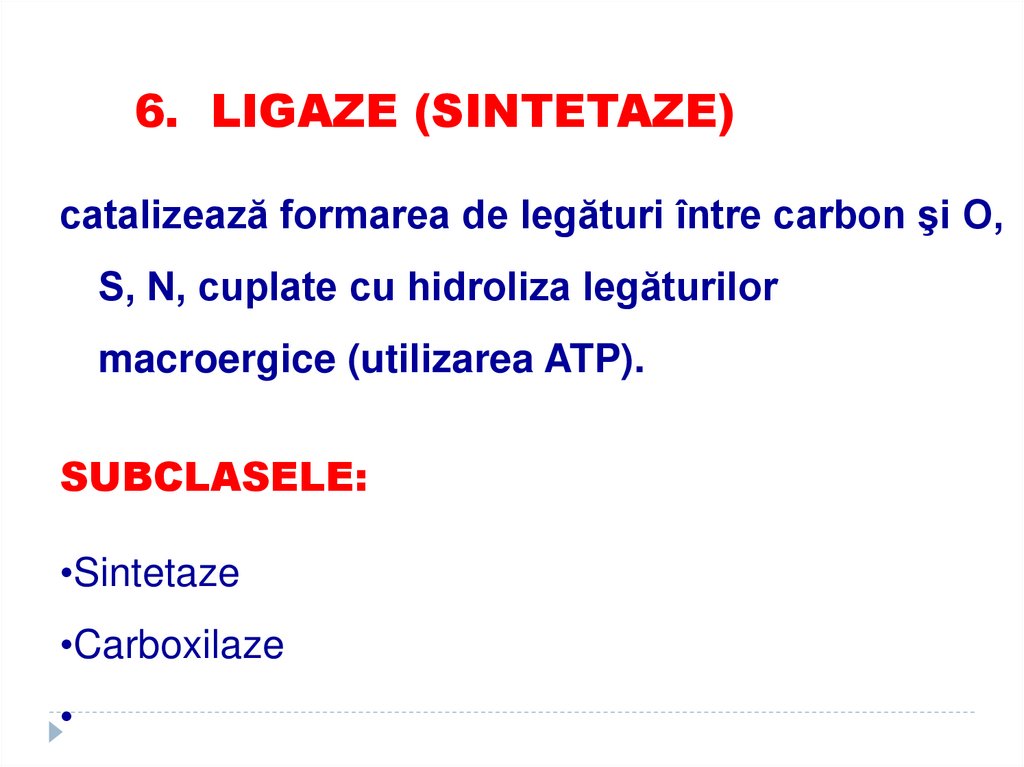 6. LIGAZE (SINTETAZE)