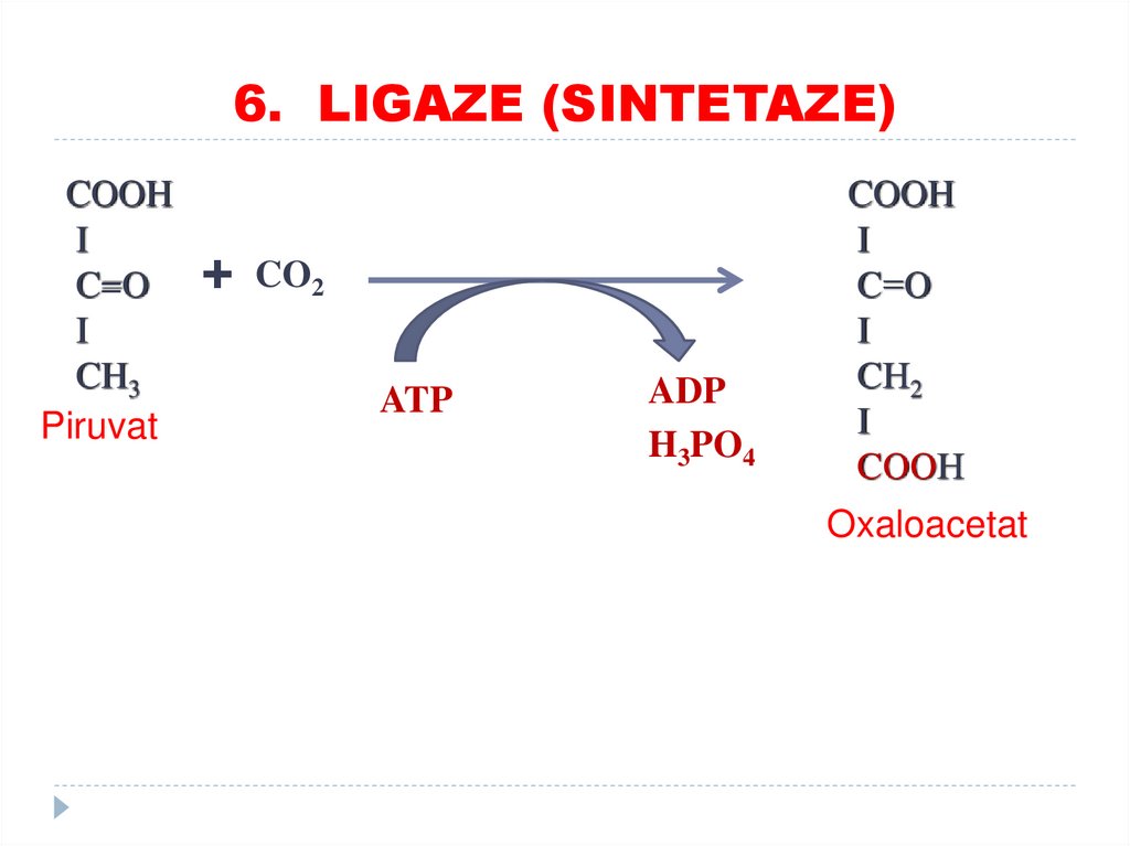 6. LIGAZE (SINTETAZE)