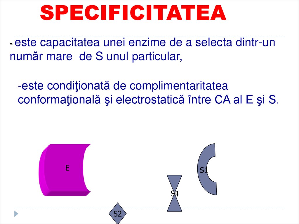 SPECIFICITATEA