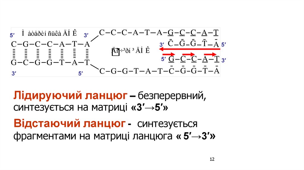 C C C A T A G C C A T