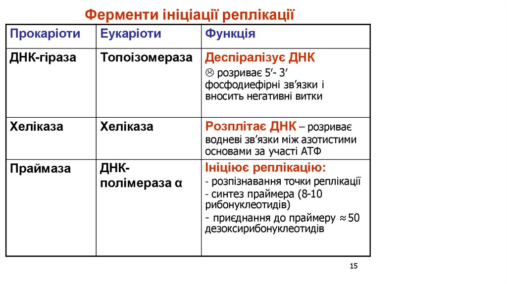 Ферменти ініціації реплікації