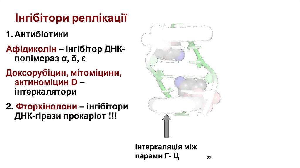 Інгібітори реплікації