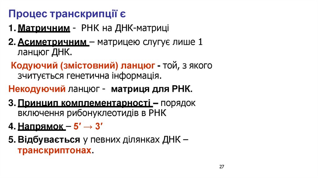 Процес транскрипції є