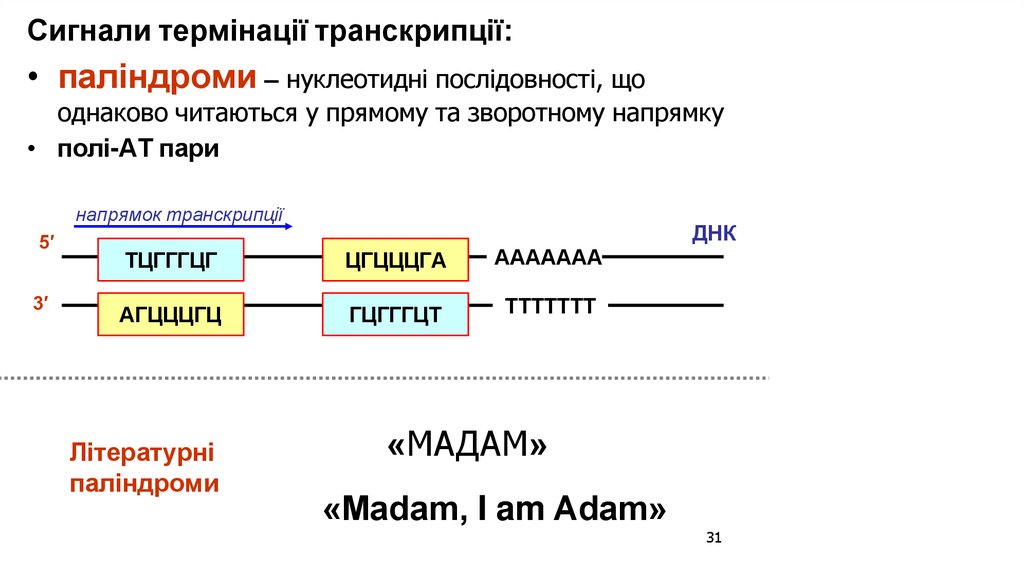 Сигнали термінації транскрипції: