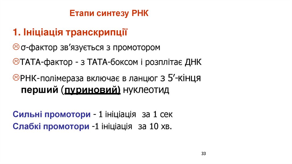 Етапи синтезу РНК