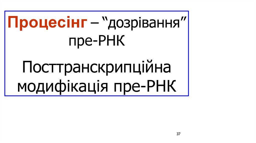 Процесінг – “дозрівання”