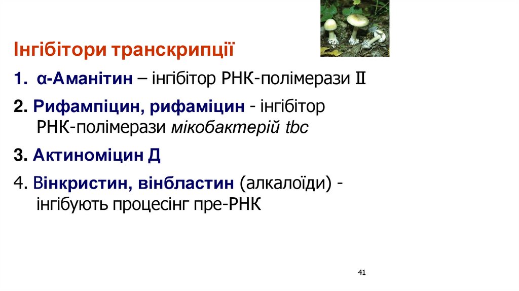 Інгібітори транскрипції