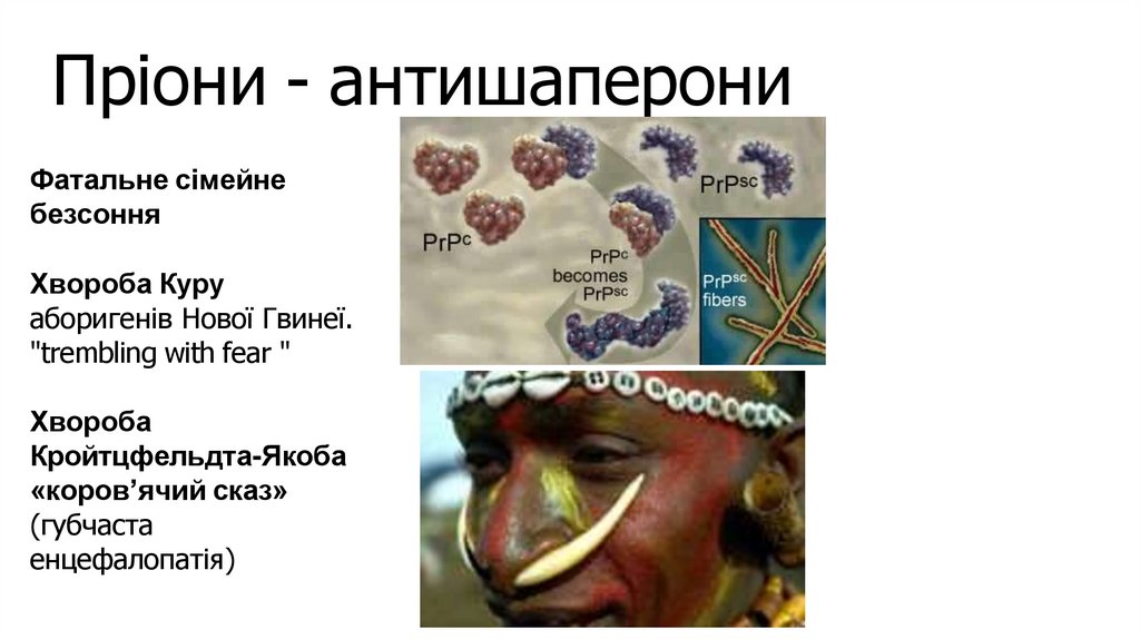 Пріони - антишаперони