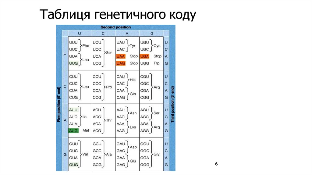 Таблиця генетичного коду