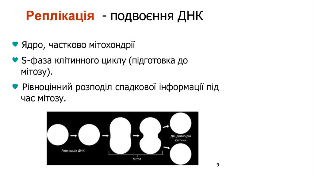 Реплікація - подвоєння ДНК