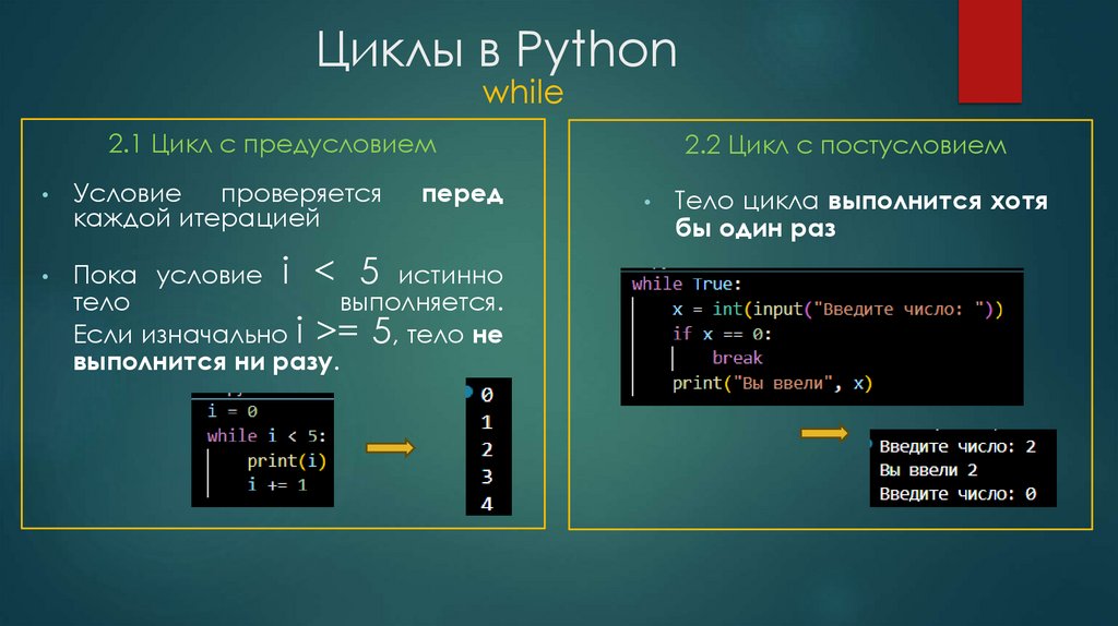 Циклы в Python
