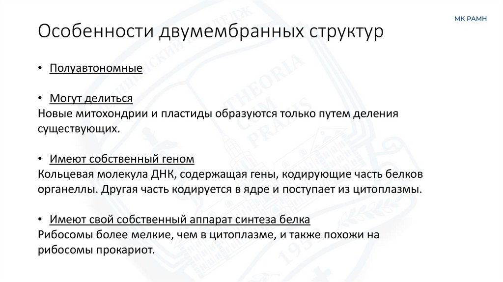 Особенности двумембранных структур