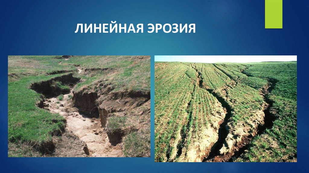 ЛИНЕЙНАЯ ЭРОЗИЯ