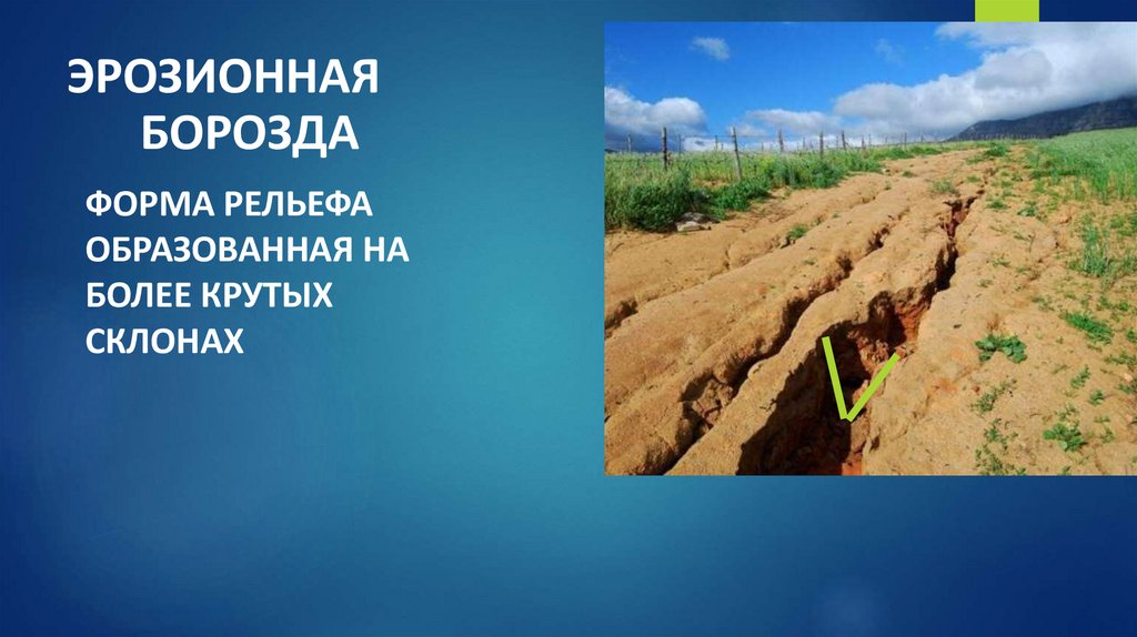 ЭРОЗИОННАЯ БОРОЗДА