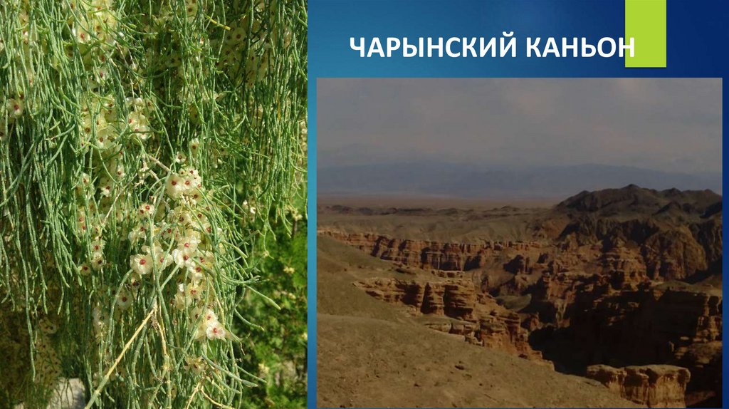 ЧАРЫНСКИЙ КАНЬОН