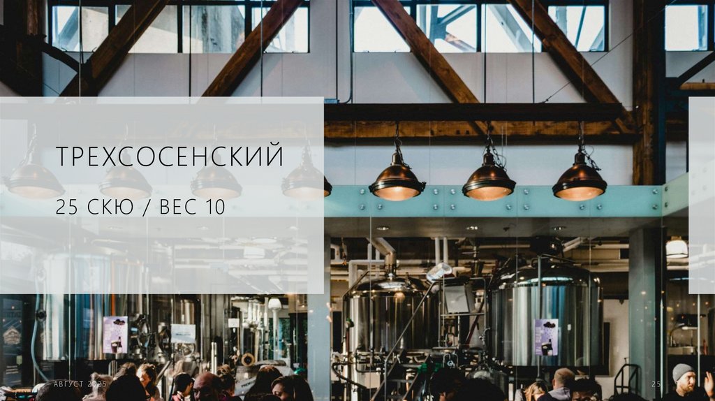 ТРЕХСОСЕНСКИЙ 25 скю / ВЕС 10