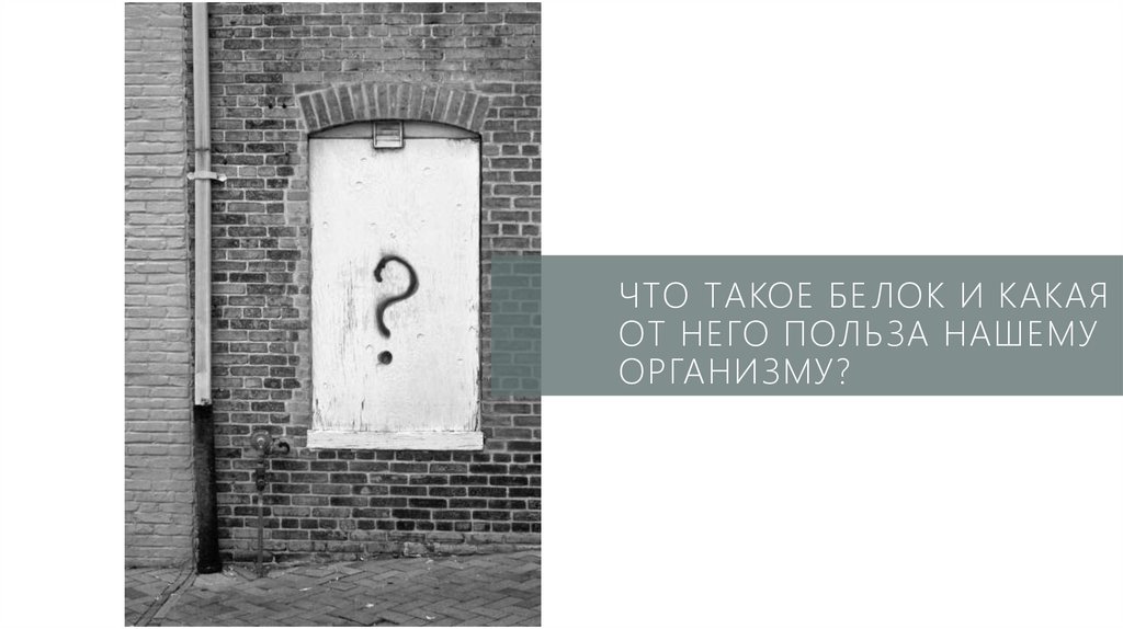 Что такое белок и какая от него польза нашему организму?