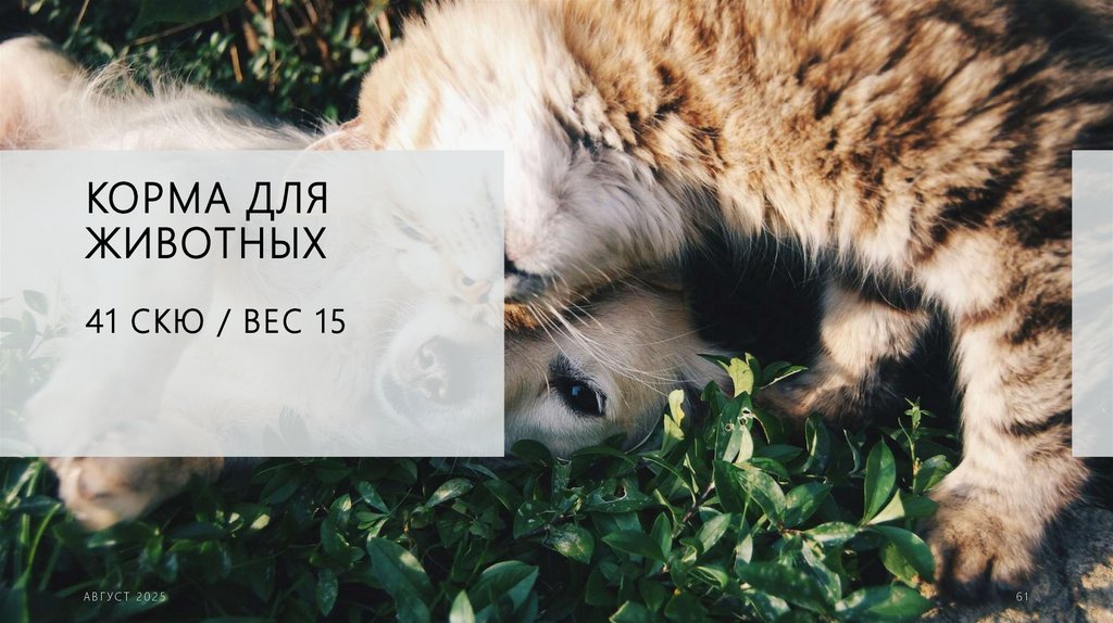 Корма для животных 41 скю / ВЕС 15