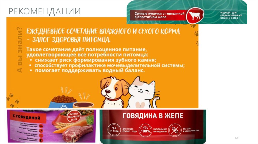 Рекомендации