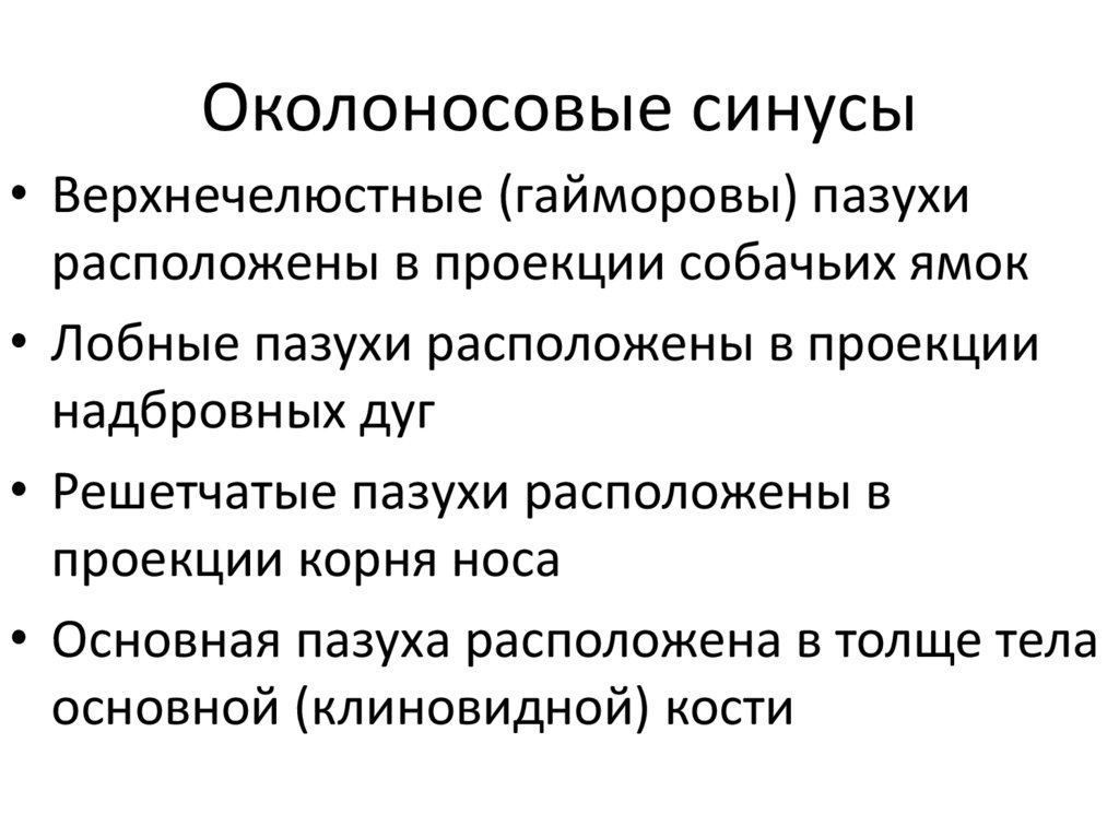 Околоносовые синусы
