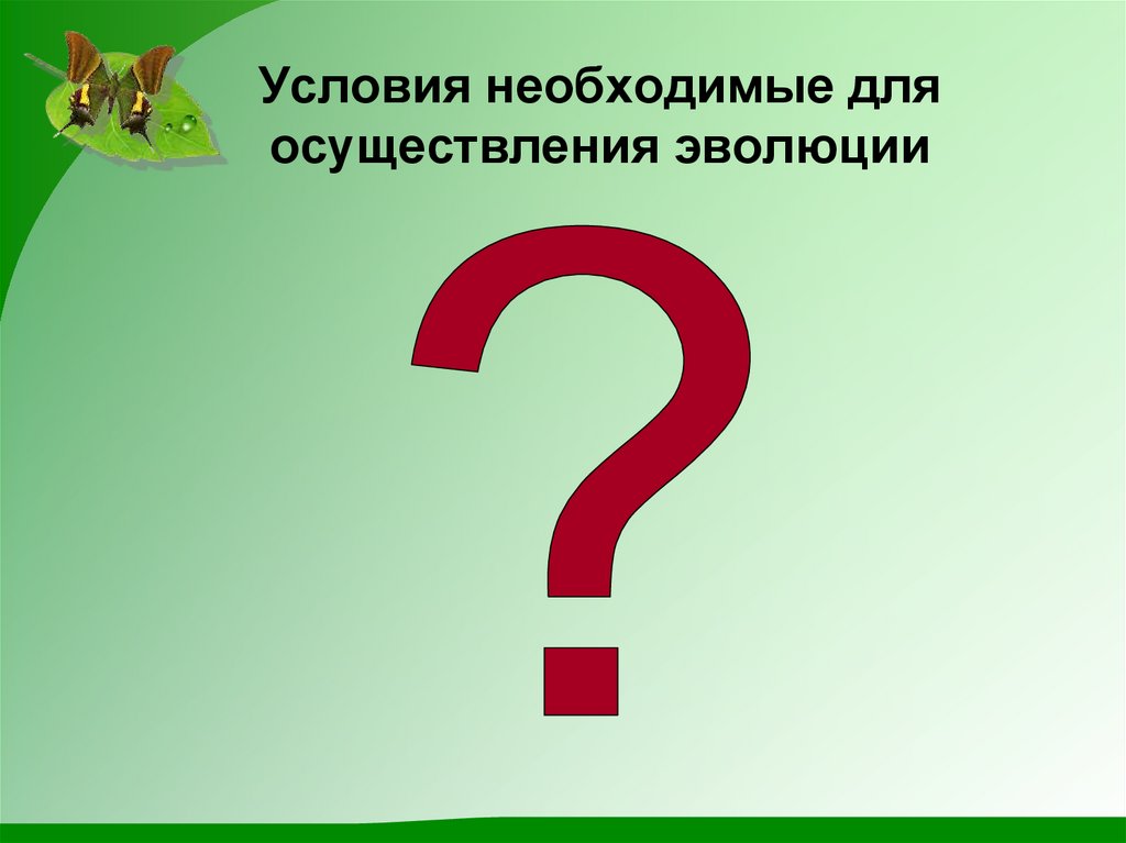 Условия необходимые для осуществления эволюции