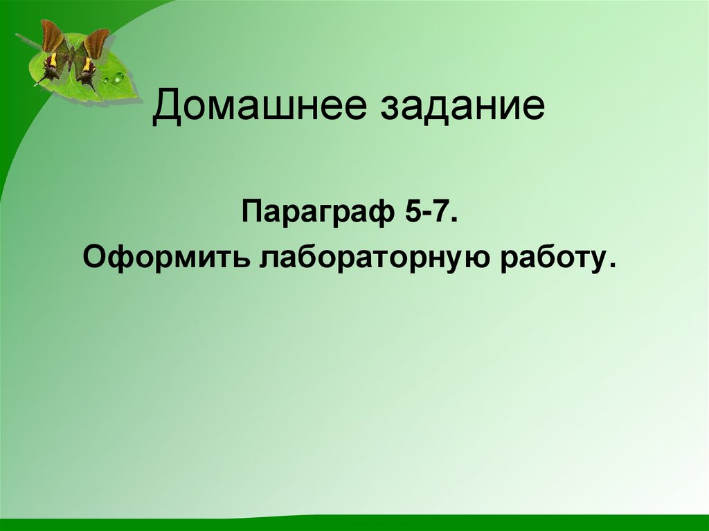 Домашнее задание