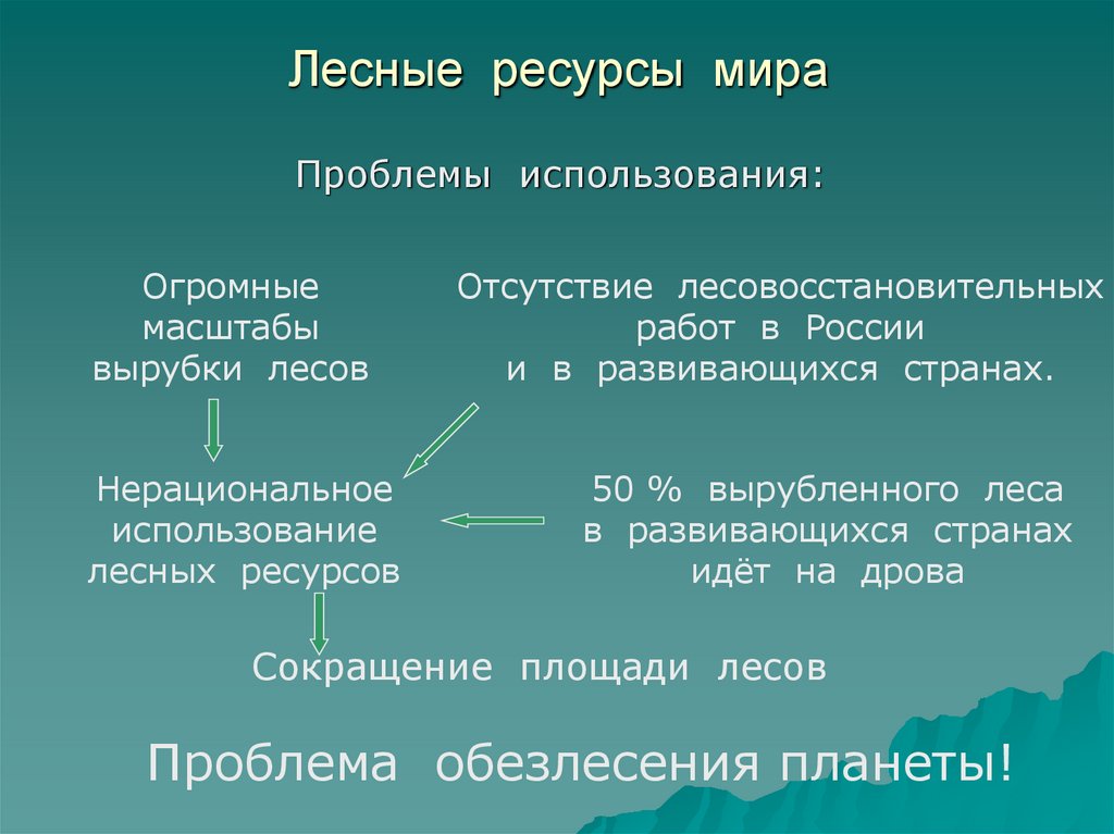 Лесные ресурсы мира