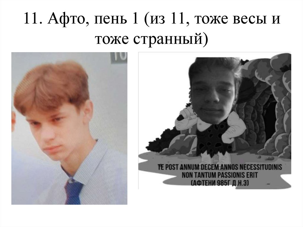 11. Афто, пень 1 (из 11, тоже весы и тоже странный)